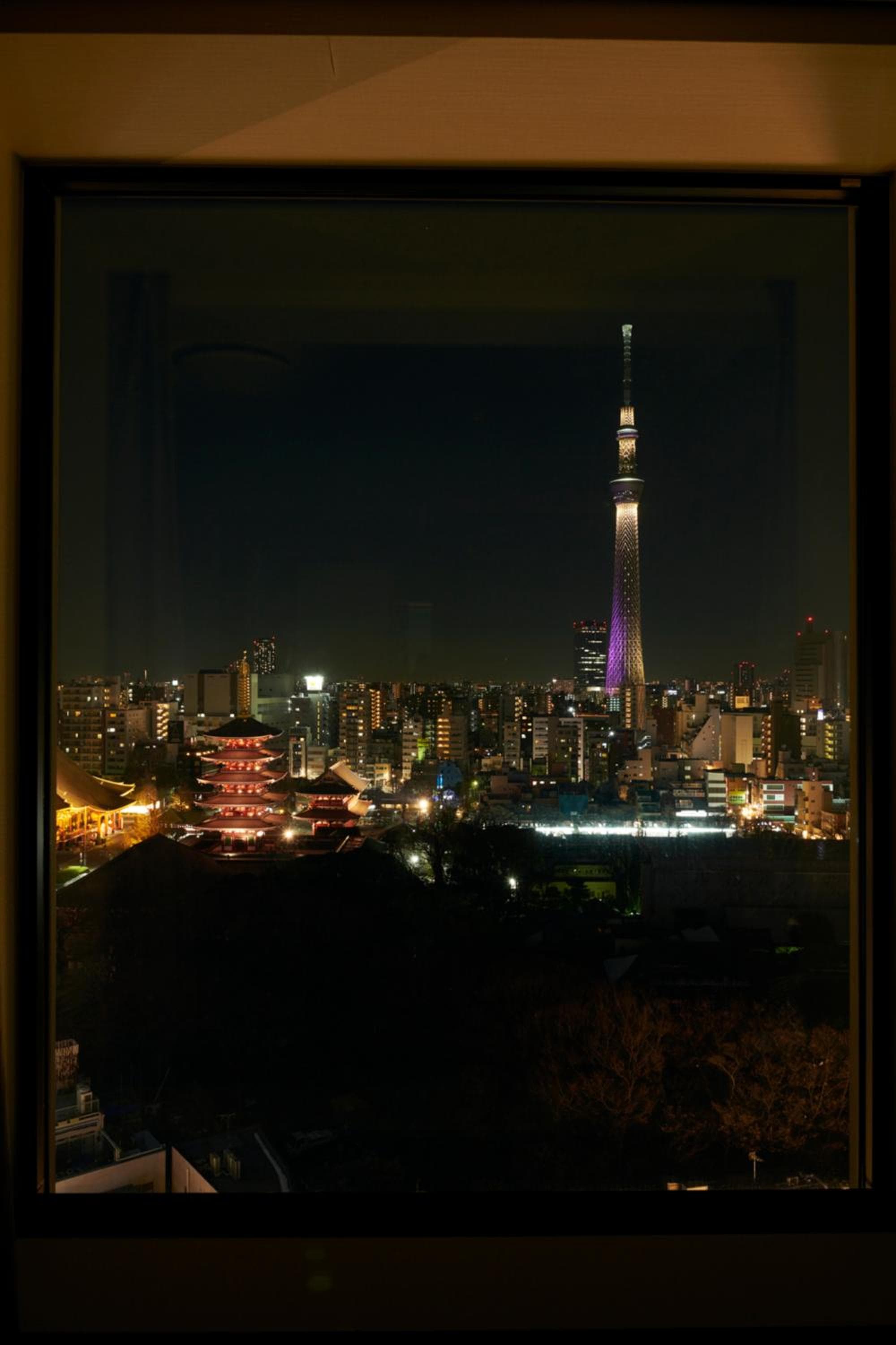 Richmond Hotel Premier Asakusa International — photo 2
