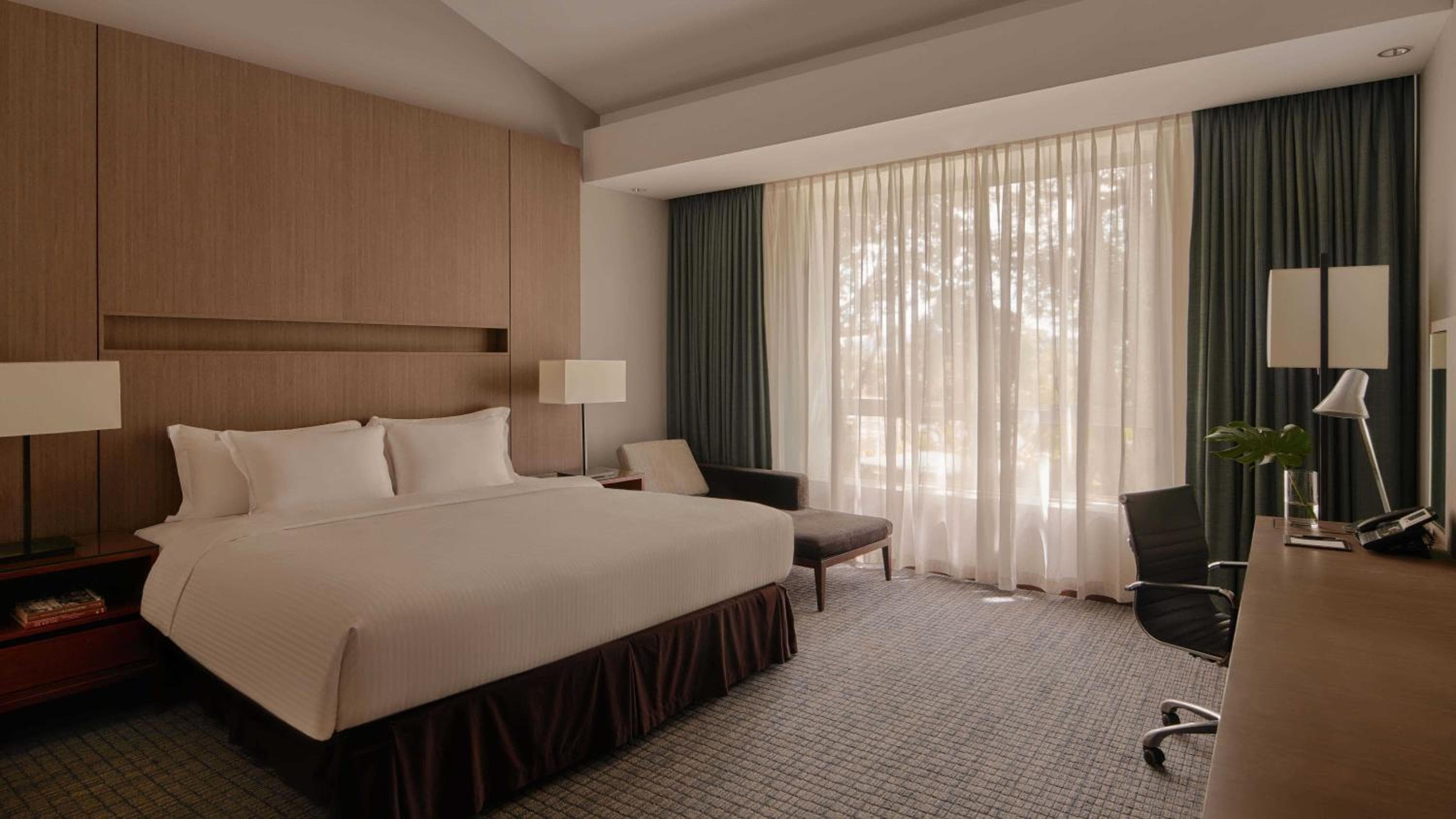 Deluxe King Room