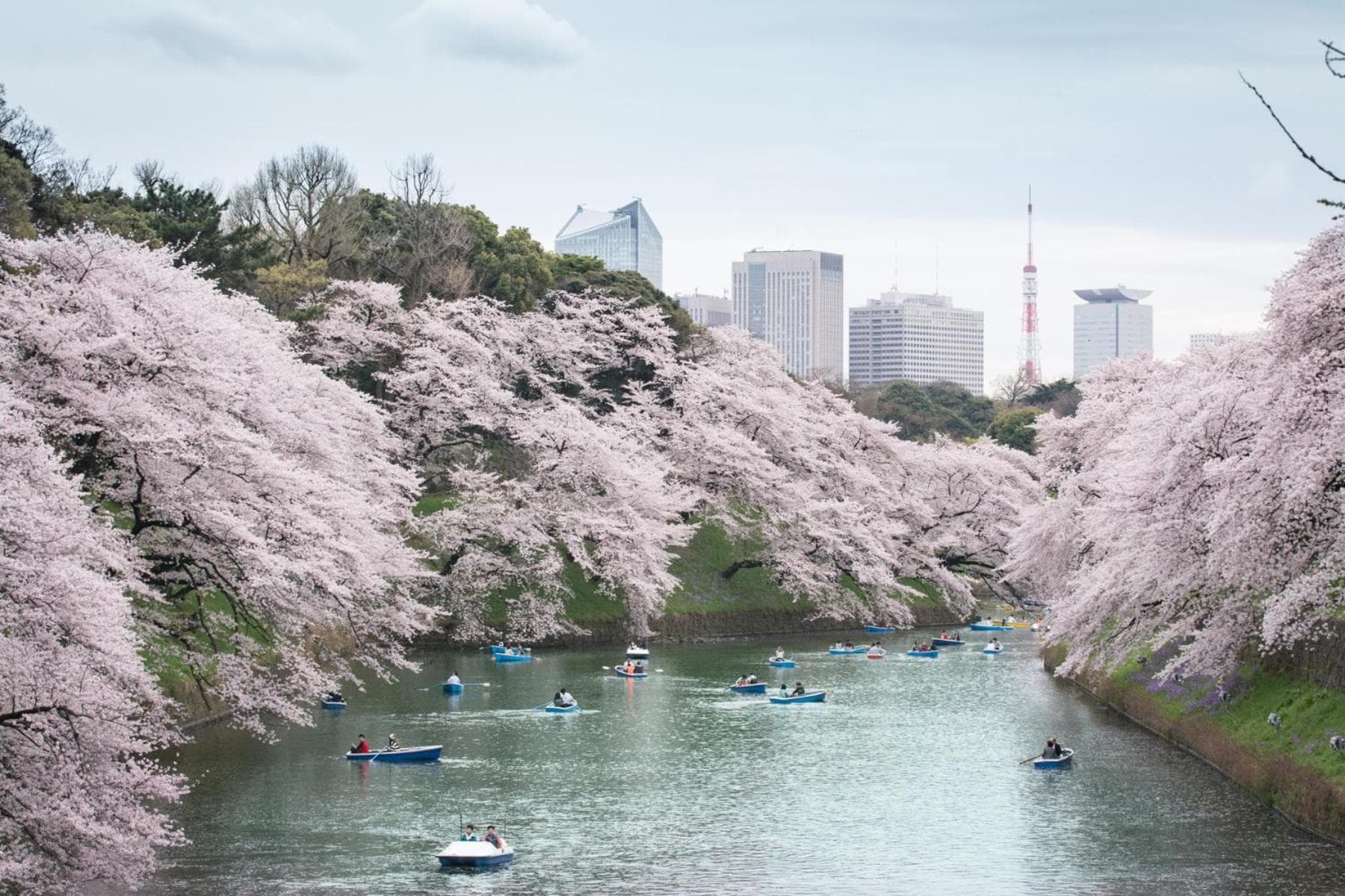 Shangri-La Tokyo — photo 2